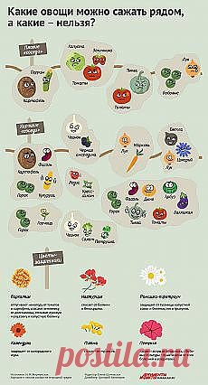 Письмо «Отгадайте: это рыбалка или охота на оленя? |... и другие материалы. Новое в Вашей подборке на Постиле» — Постила — Яндекс.Почта