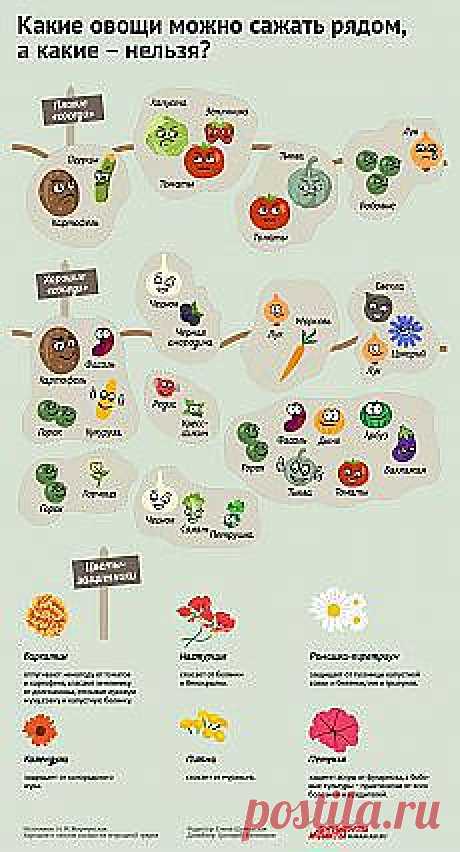 Письмо «Отгадайте: это рыбалка или охота на оленя? |... и другие материалы. Новое в Вашей подборке на Постиле» — Постила — Яндекс.Почта