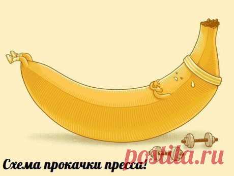 Схема прокачки пресса по 9 подходов каждый день | Human psychology