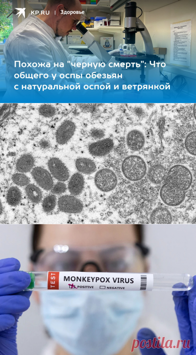 26-5-22-Похожа на 