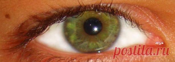 люди с зеленым цветом глаз