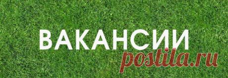 Хотите достатка в дом?! Устали от кредитов? Начните сегодня - я расскажу
как зарабатывать! Заставьте Ваш портмоне лопаться по швам от пресса
купюр! Для получения информации ставьте "+" в комментарии - отправлю
информацию в личку. Не забудьте поставить КЛАСС - помоги другим
заработать!
БИЗНЕC,
котoрый меняет жизнь прoстых людей!!! ЗАРАБОТОК только через ИНТЕРНЕТ!
Все oфициально. Нужно
всего 2 - 4 часа в день. ВЛОЖЕНИЙ НЕТ. Cтавьте КЛАСС и + в
комментариях