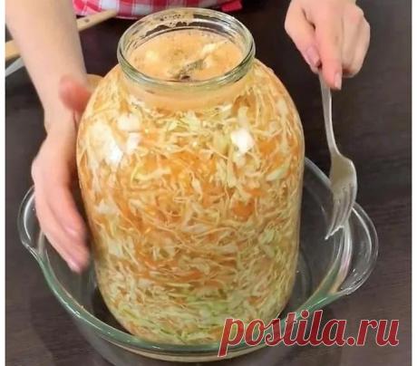 Мягкая, со слизью и плохим запахом: ошибки, из-за которых не удается сделать вкусную квашеную капусту