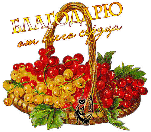 Картинки, открытки, анимация, со словами - Спасибо, Благодарю, со словами восхищения,  - Картинки Открытки My-love
