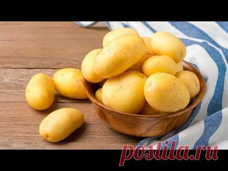 Аппетитные и сытные БЛЮДА ИЗ КАРТОФЕЛЯ приготовленные в духовке. 4 рецепта от Всегда Вкусно!