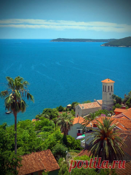 (2) Olga Vasilevskaya
Herceg Novi