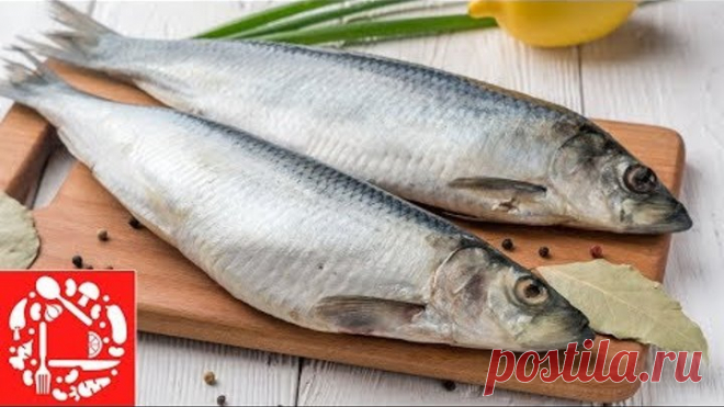 5 рецептов из Селедки на Праздничный стол! 😍 Вкусно, Просто и Легко!