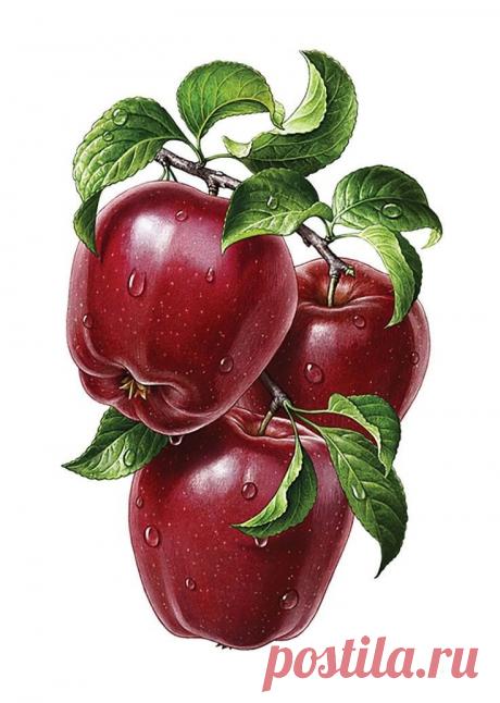 EPocrNqhKcc.jpg (736×1034)