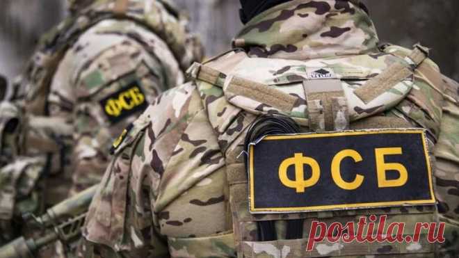Сотрудники ФСБ вместе с таможенниками смогли пресечь попытку ввоза 27 самодельных бомб из Украины в Россию через страны Евросоюза.