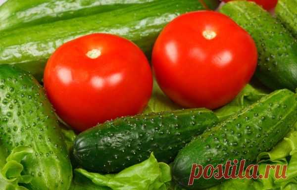 Я делаю целебную подкормку для помидоров, огурцов и клубники