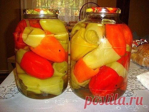 (50) консервация