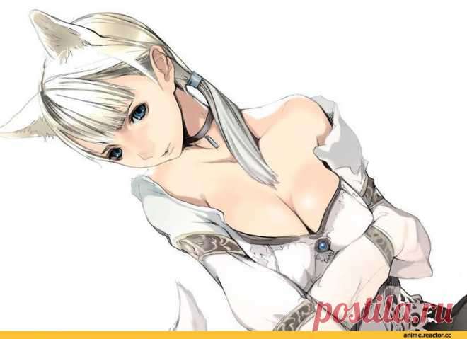 JoyReactor - смешные картинки и другие приколы: комиксы, гиф анимация, видео, лучший интеллектуальный юмор.