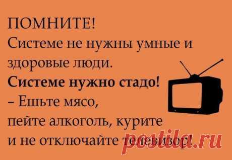 Дмитрий Ерастов