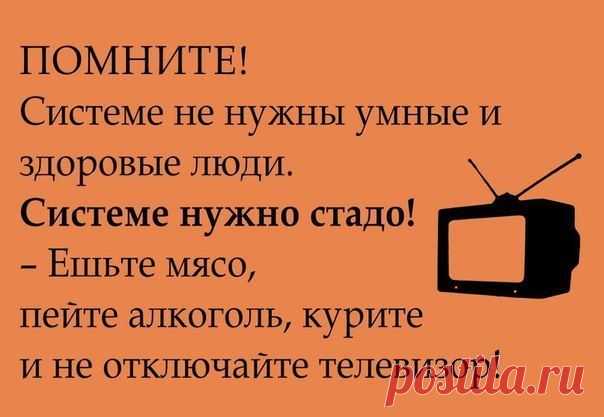Дмитрий Ерастов