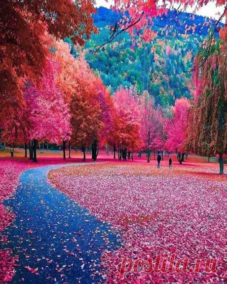 Группа «Женский сарказм»