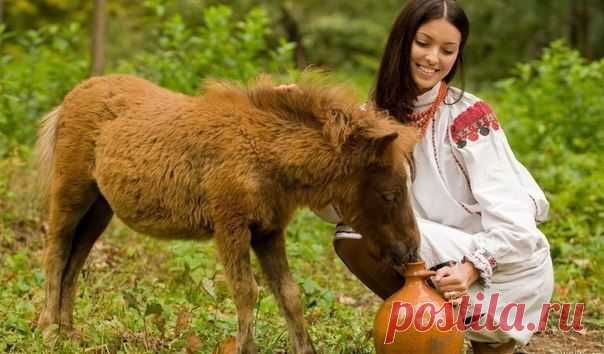 Никогда не сдавайтесь! / Сферический бизнес