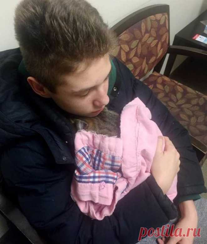 Кота выбросили из движущегося фургона. Парень мигом бросился спасать животное…