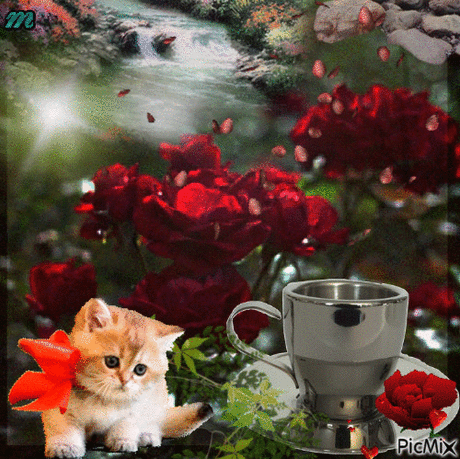2822105_ce6cd.gif (500×499)