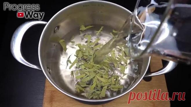 САХАР РУХНУЛ! РАССОСАЛИСЬ БЛЯШКИ, СНИЖАЕТ ДАВЛЕНИЕ, ГУСТУЮ КРОВЬ ДЕЛАЕТ ЖИДКОЙ И МОЛОДОЙ..