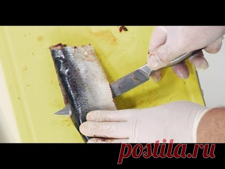 Как правильно разделать селёдку: 1-ый способ - ножом, не пачкая рук / Илья Лазерсон / Обед безбрачия