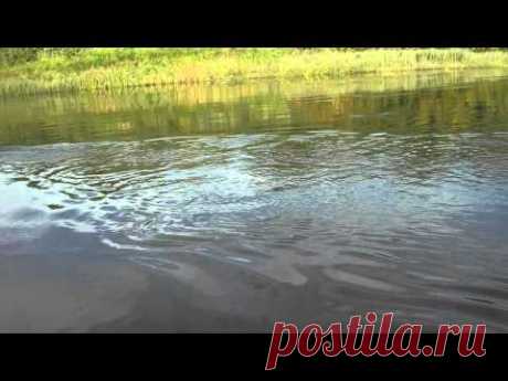 Щука на бутылочку