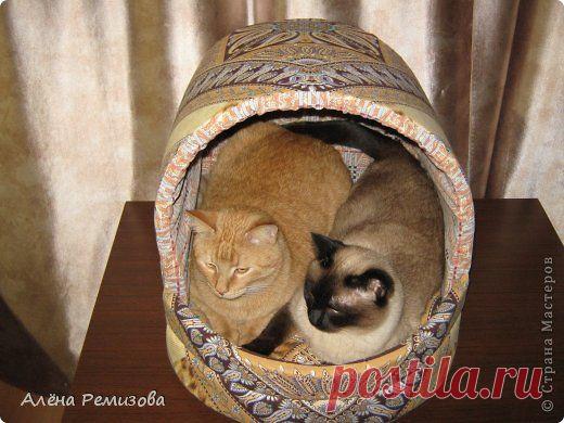 Лежак для кошек | Страна Мастеров