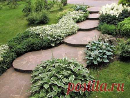 Дорожки для сада - фото-идеи
#дорожки #сад #фотоидеи #ландшафтныйдизайн