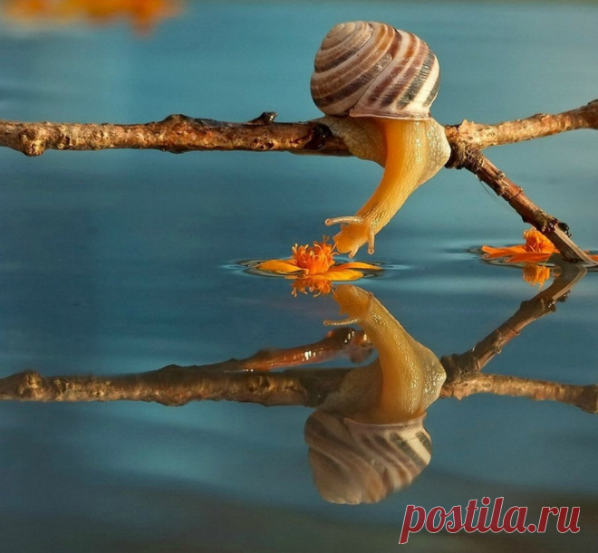 Мой Мир@Mail.Ru