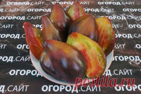 Томат Пленительное сердце Софии Сааковой, купить семена | ОГОРОД.сайт