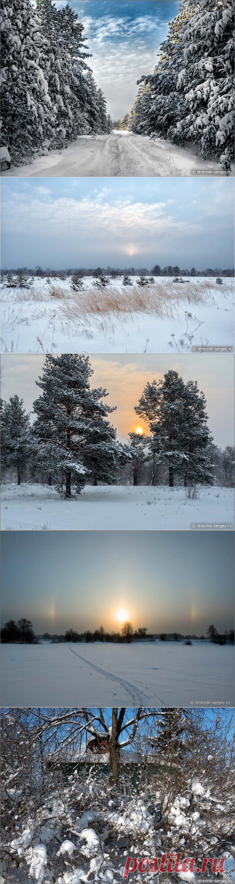 (+3) Красивая лыжня