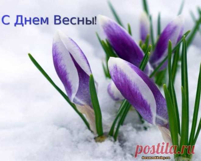 С Днем Весны поздравляю всех :: социальная сеть мам и пап, форум родителей