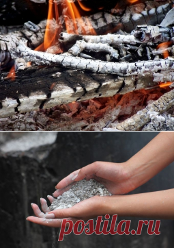 Как использовать древесную золу в огороде - Садоводка