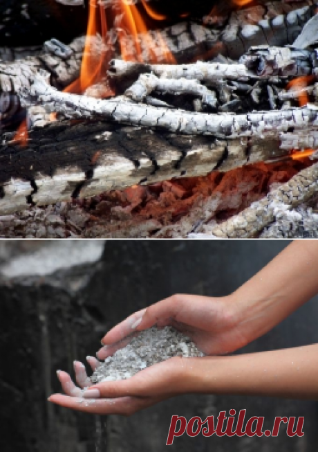 Как использовать древесную золу в огороде - Садоводка