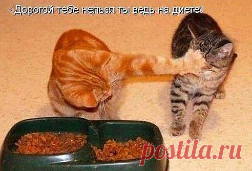 Это моё!!!