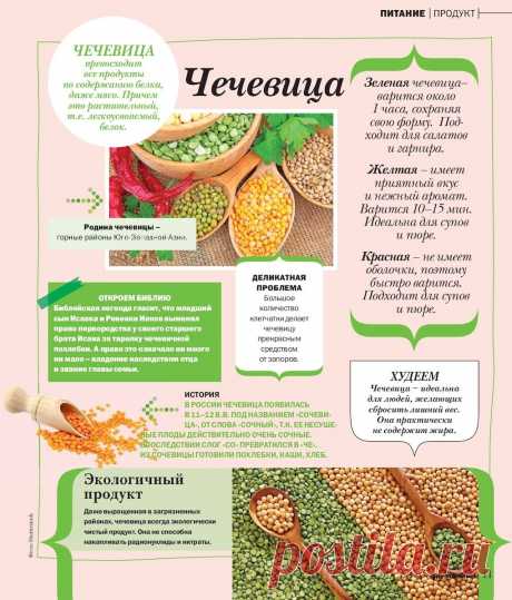 Чечевица в кулинарии