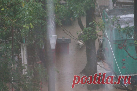 Photos from Николай Тютюнник's post - Николай Тютюнник
2014