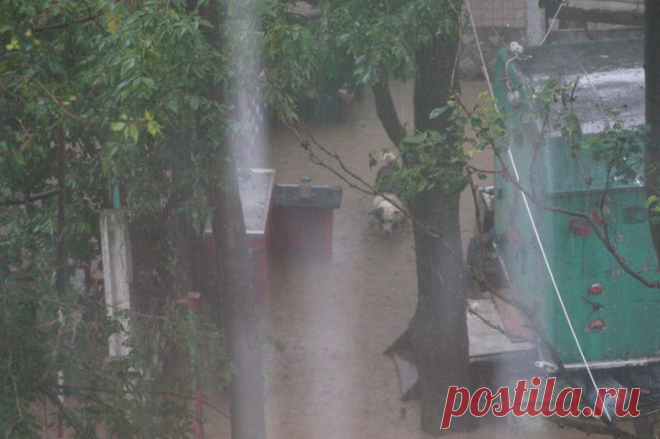 Photos from Николай Тютюнник's post - Николай Тютюнник
2014