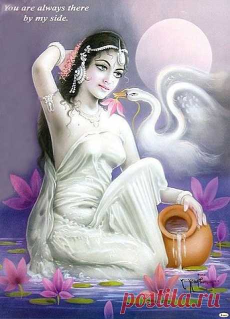 Gallery.ru / Фото #25 - Картинки для декупажа.Экзотика. - larisaros