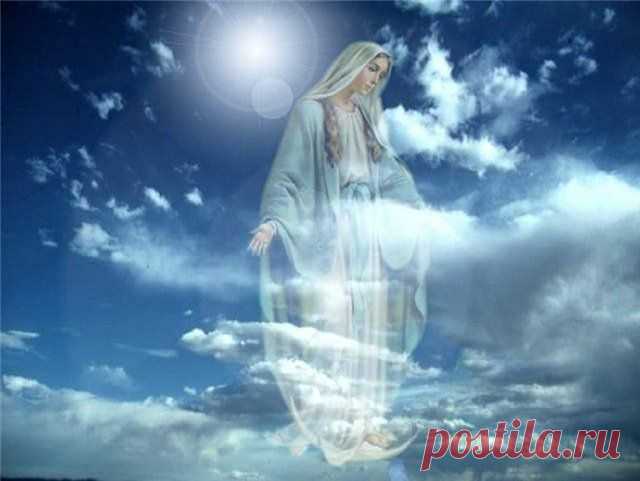 Ave Maria - лампада тиха,
В сердце готовы четыре стиха:

Чистая Дева, Скорбящего Мать,
Душу проникла Твоя благодать.
Неба Царица, не в блеске лучей,
В тихом предстань сновидении Ей!

Ave Maria - лампада тиха,
Я прошептал все четыре стиха.