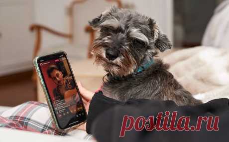 Пользователи пожаловались на сбои в работе Instagram. Пользователи Instagram сообщили о проблемах в работе социальной сети, следует из данных на сайте Downdetector.