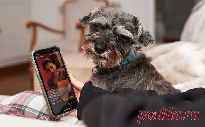 Пользователи пожаловались на сбои в работе Instagram. Пользователи Instagram сообщили о проблемах в работе социальной сети, следует из данных на сайте Downdetector.