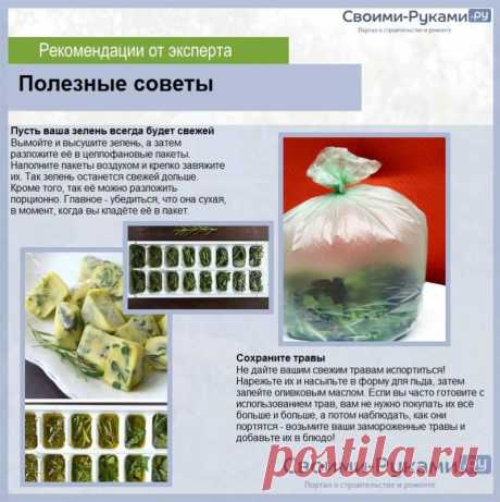 Как сохранить зелень