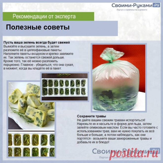 Как сохранить зелень