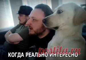 Уже было, но всё равно смешно…