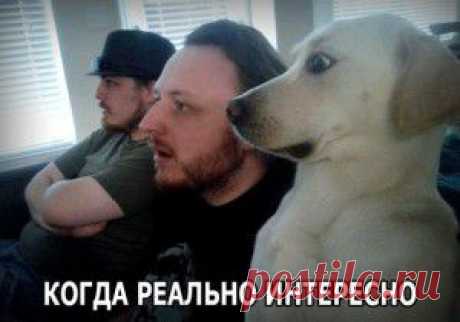 Уже было, но всё равно смешно…
