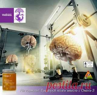Омега-3 Основа здоровья и долголетия