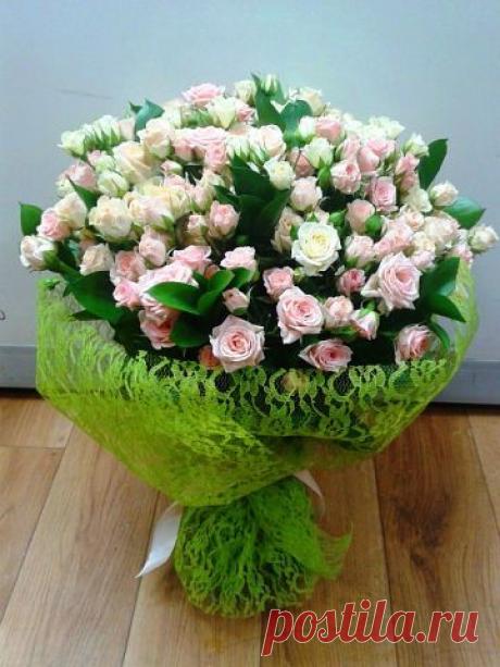 БУКЕТЫ ИЗ КОНФЕТ РЕКВИЗИТ ДЛЯ ФОТОСЕССИЙ
38 лет, Украина, Киев