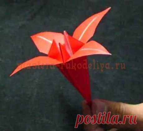 Оригами, киригами