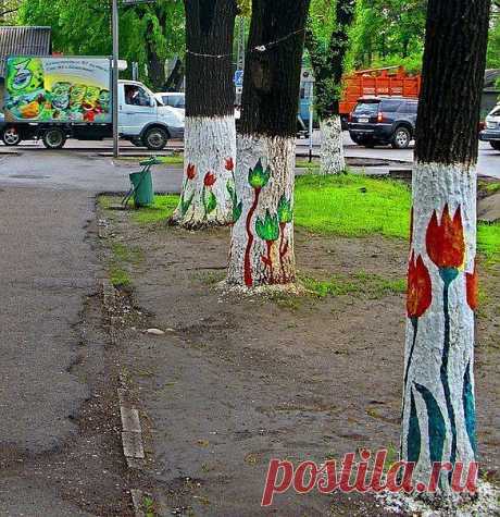 на улицах Алматы