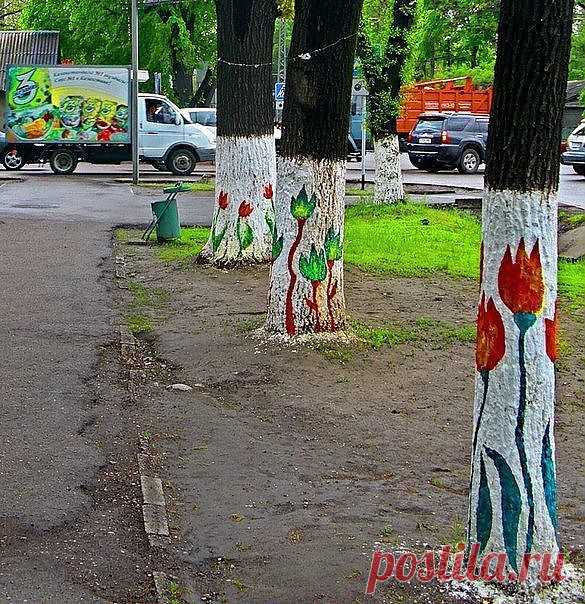на улицах Алматы